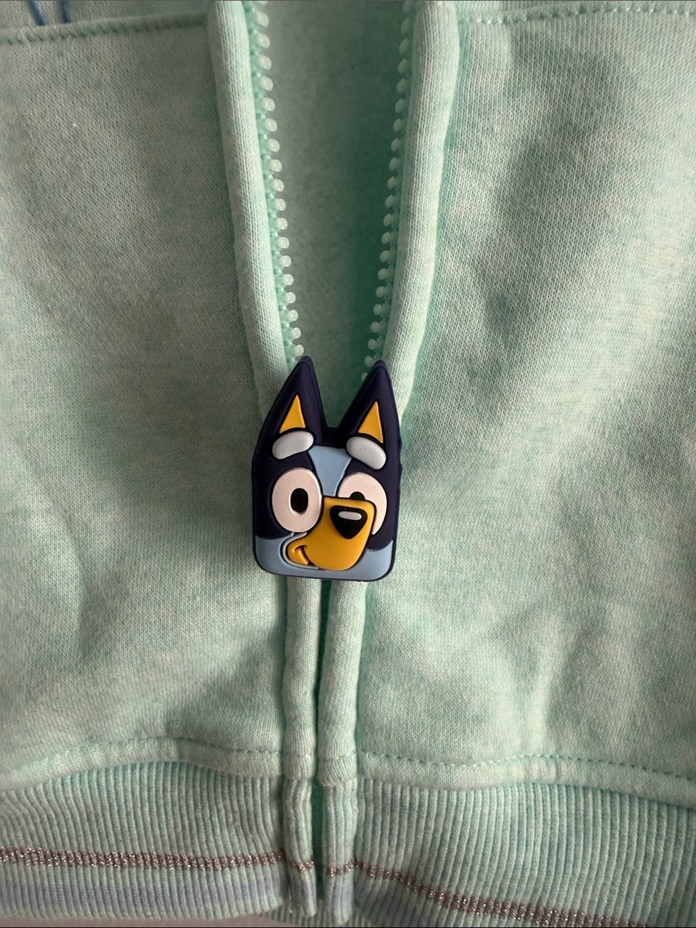 Bluey Mint Green Full-Zip Hoodie for Kids - Picture 9 of 11